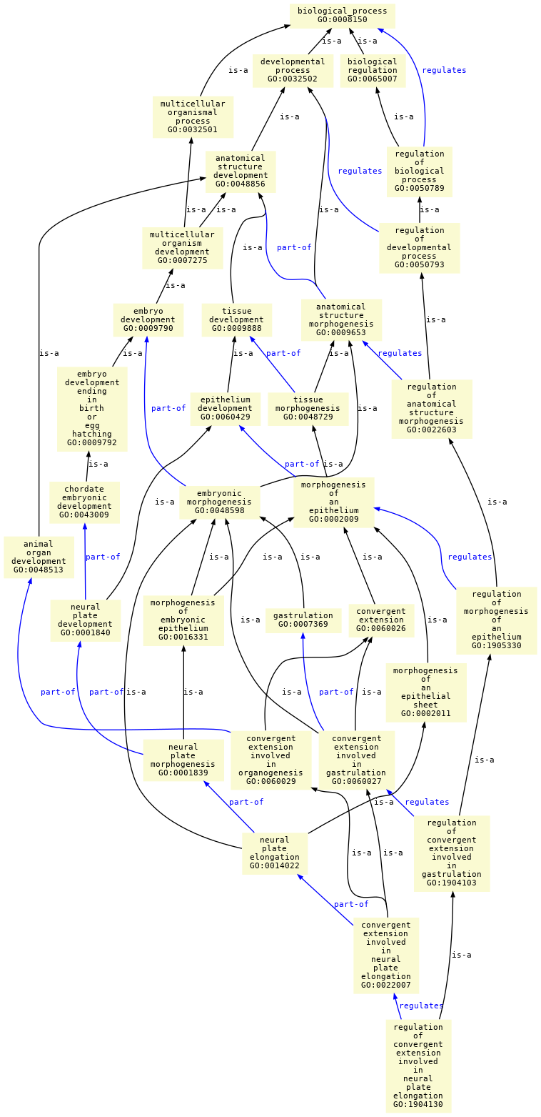 paths to the root