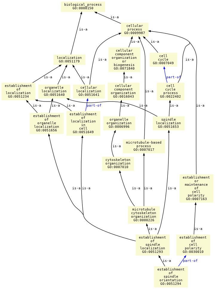 paths to the root