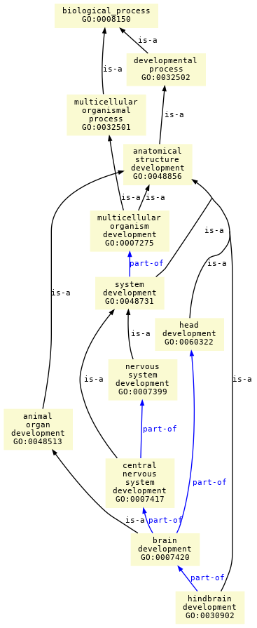 paths to the root