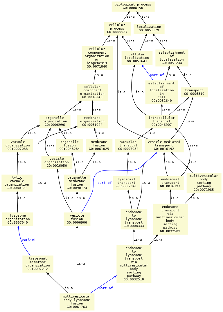 paths to the root