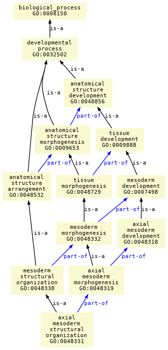 paths to the root