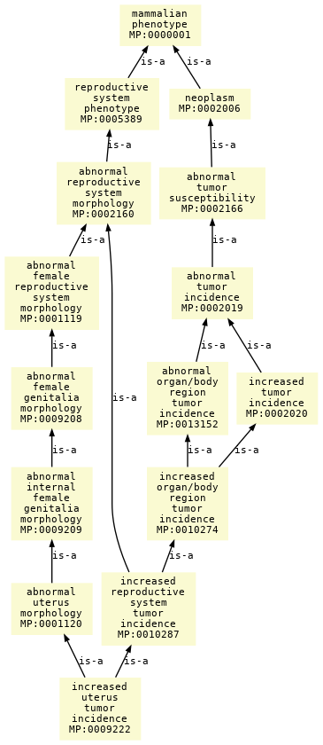 paths to the root