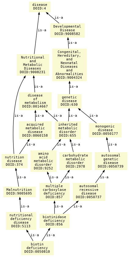 paths to the root