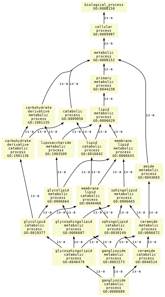 paths to the root