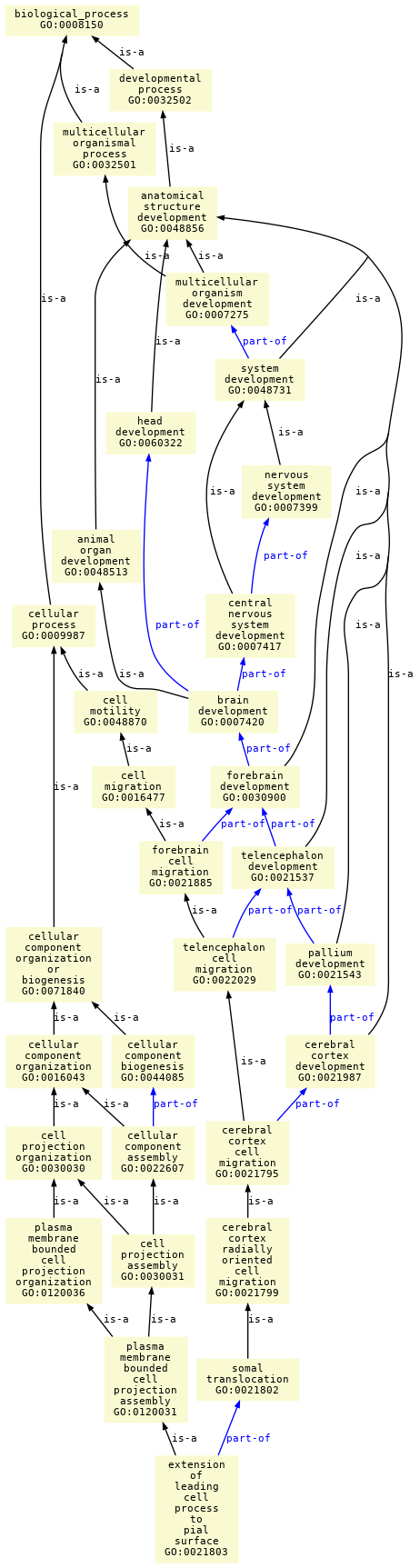 paths to the root