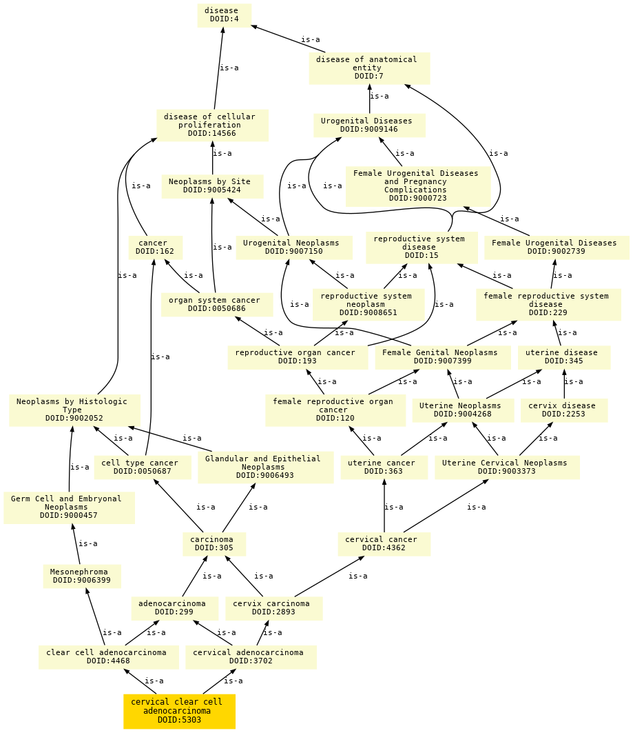 paths to the root