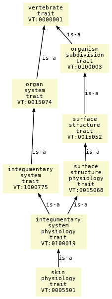 paths to the root