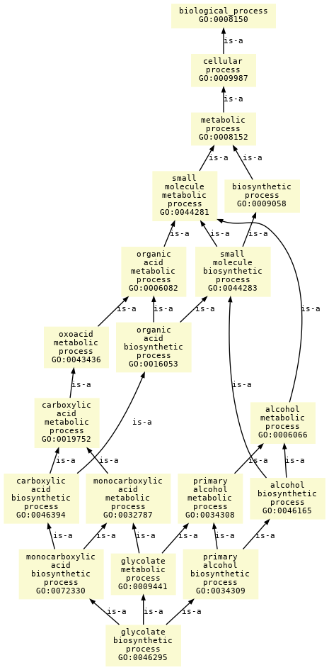 paths to the root