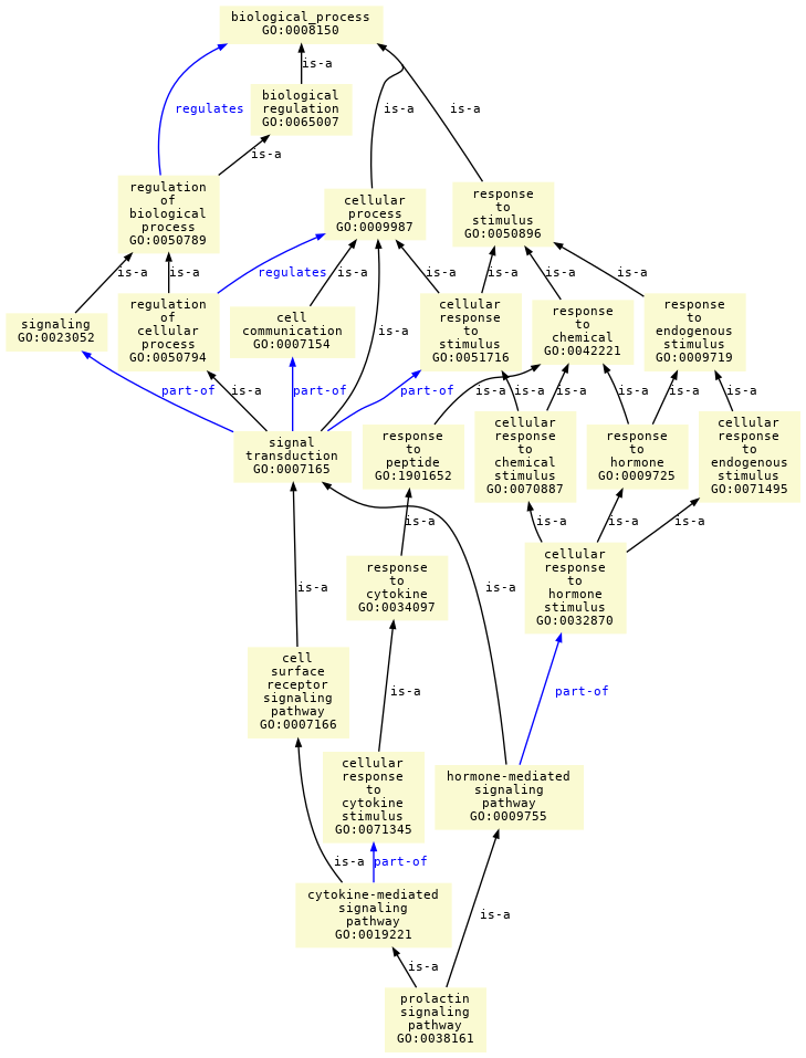 paths to the root