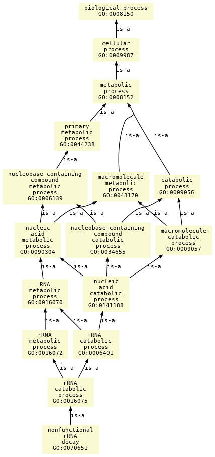 paths to the root