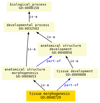 paths to the root