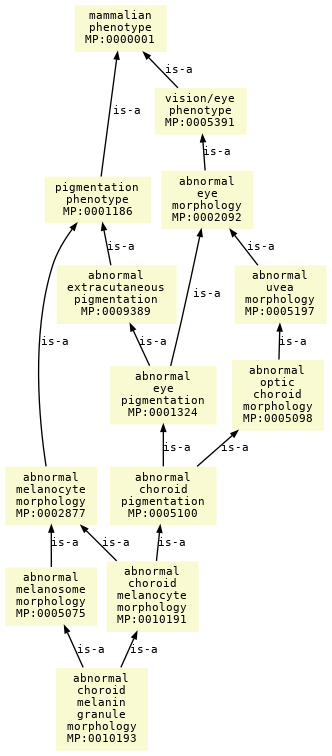 paths to the root