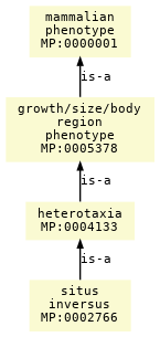 paths to the root