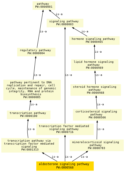 paths to the root