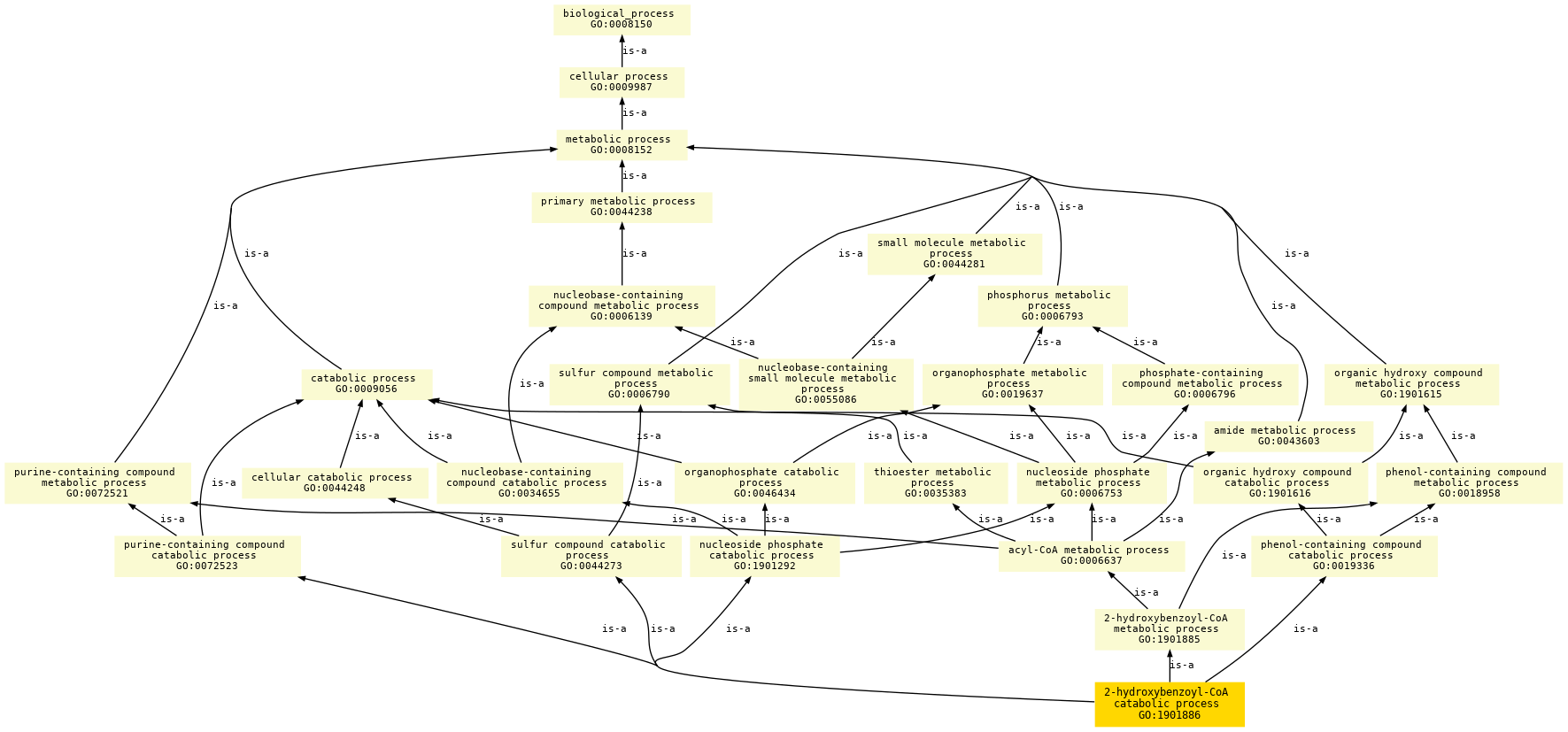 paths to the root