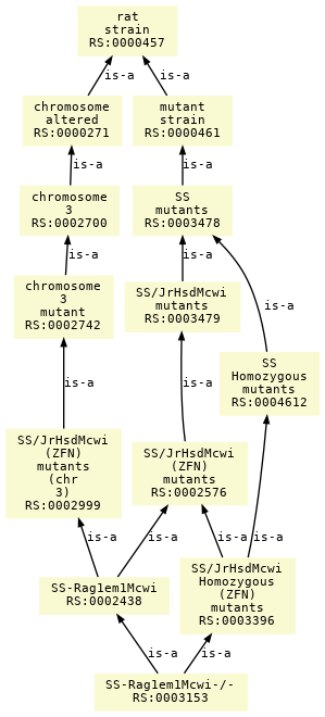 paths to the root