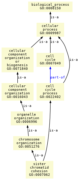 paths to the root