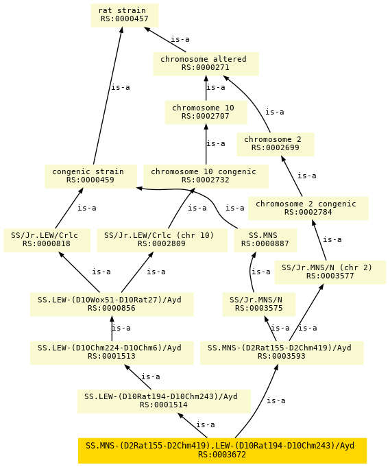 paths to the root