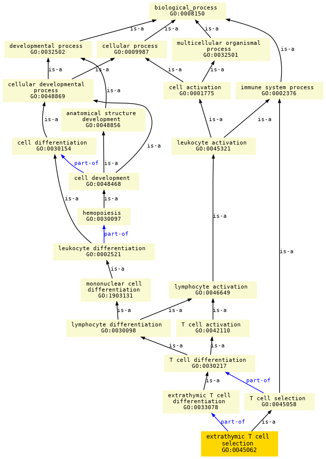 paths to the root