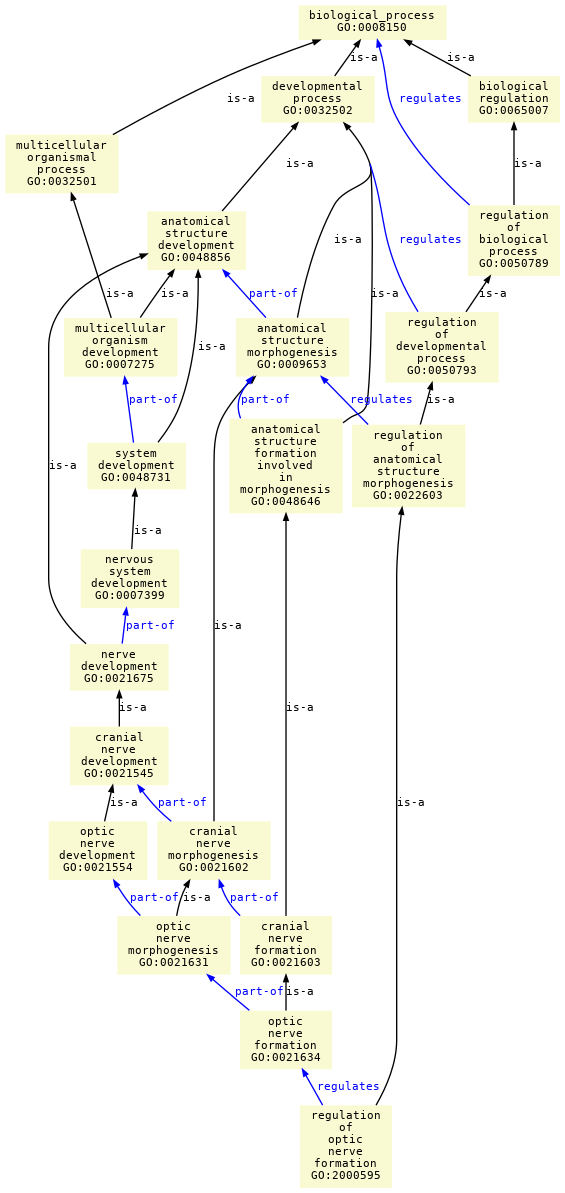 paths to the root