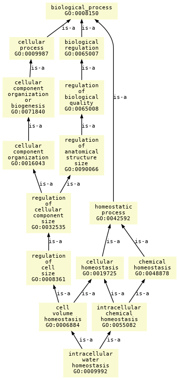 paths to the root