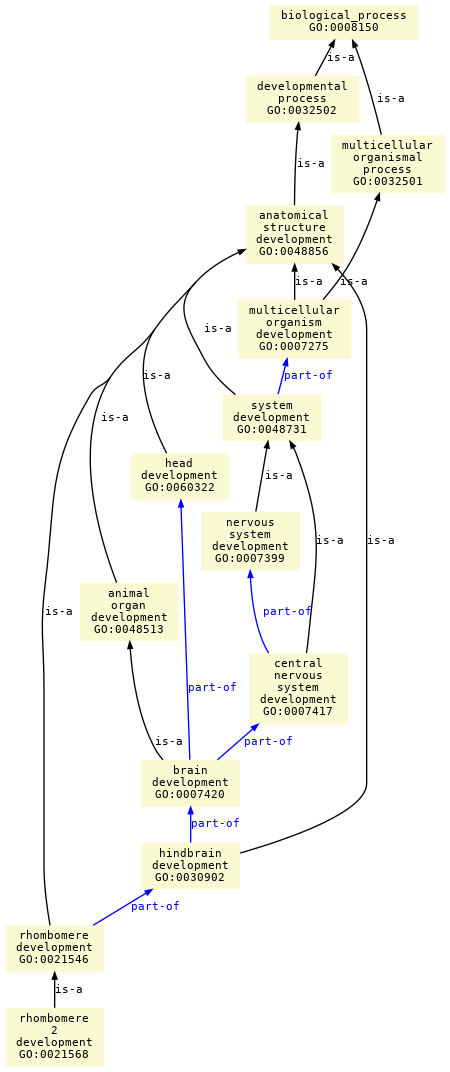 paths to the root