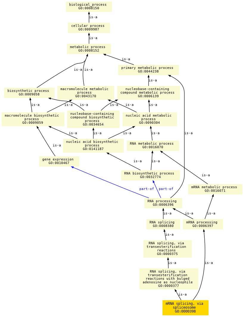 paths to the root