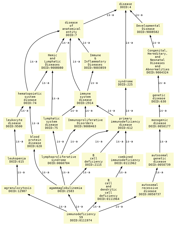 paths to the root