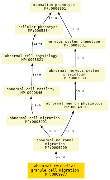 paths to the root