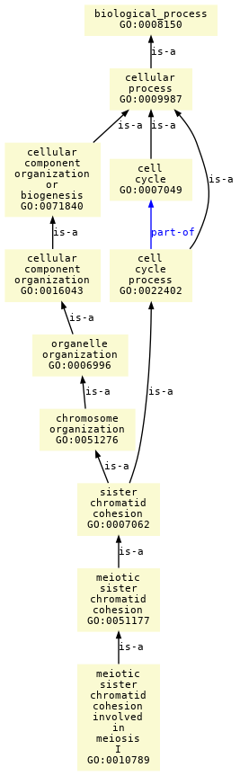 paths to the root