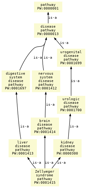 paths to the root