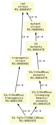 paths to the root