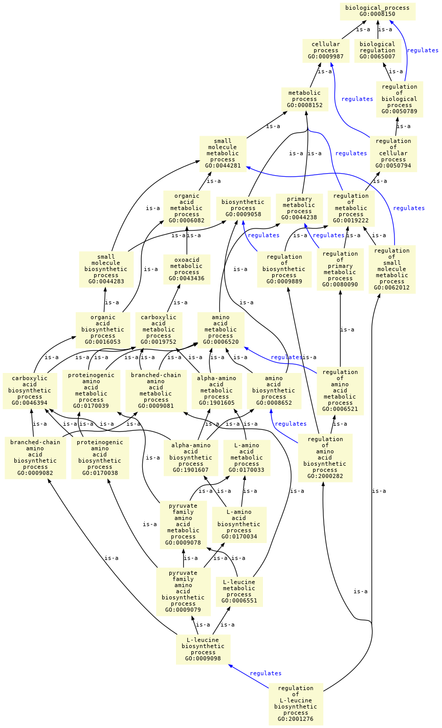 paths to the root