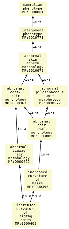 paths to the root